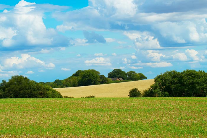 A scenic view of rolling green fields under a bright blue sky with fluffy white clouds, featuring trees and a distant farmhouse.