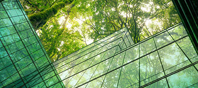 A view looking up at a modern glass structure surrounded by lush green trees, with sunlight filtering through the foliage, creating an inviting and serene atmosphere in nature.