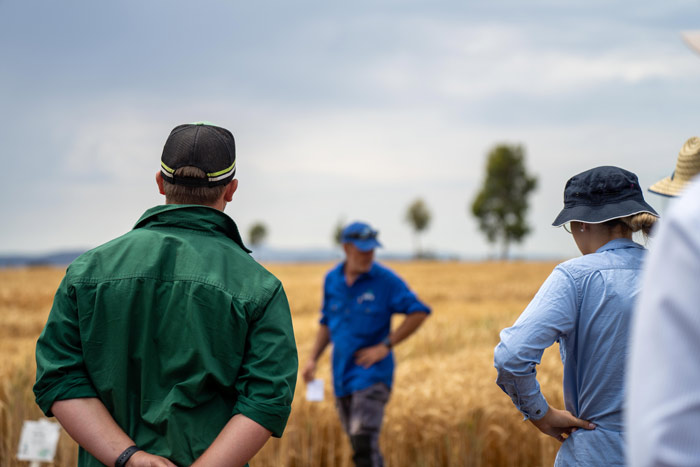 Farmers in a field