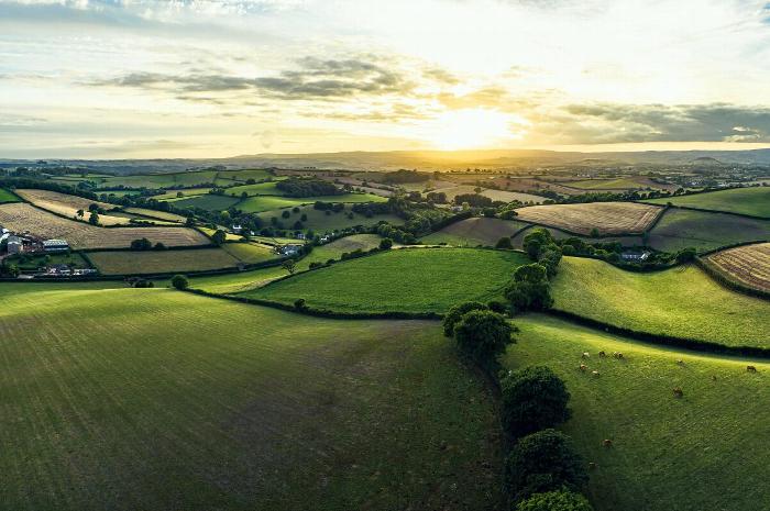 A view of green farmland in UK